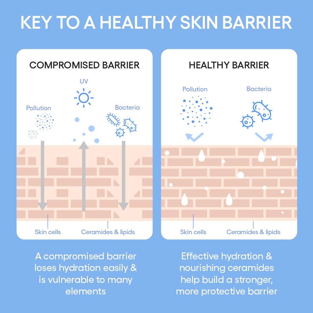 LANEIGE Cream Skin Refillable Toner & Moisturizer